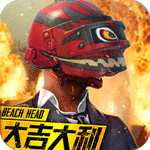 抢滩登陆3D(吃鸡王)-BT版